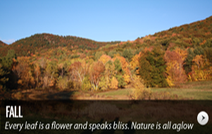 fall