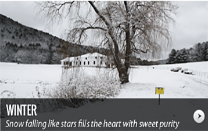 winter